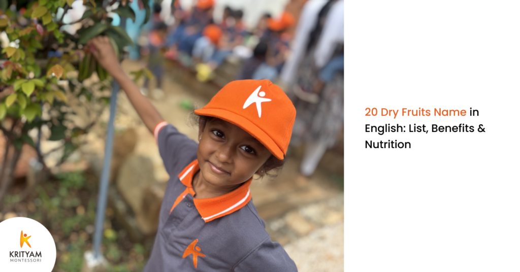 20 Dry Fruits Name in English: List, Benefits & Nutrition