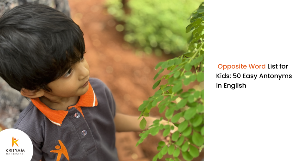 Opposite Word List for Kids: 50 Easy Antonyms in English